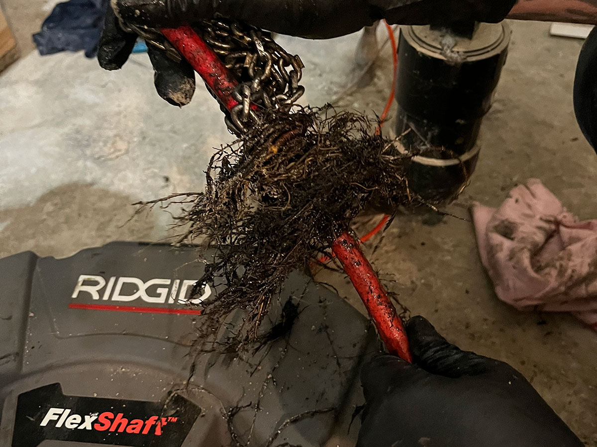 Gloved hands hold a drain cleaning cable covered in tangled roots above a RIDGID FlexShaft machine on a concrete floor, showcasing Honey Badger Sewer's expertise in handling tough clogs.